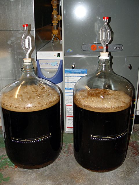 fermenter11